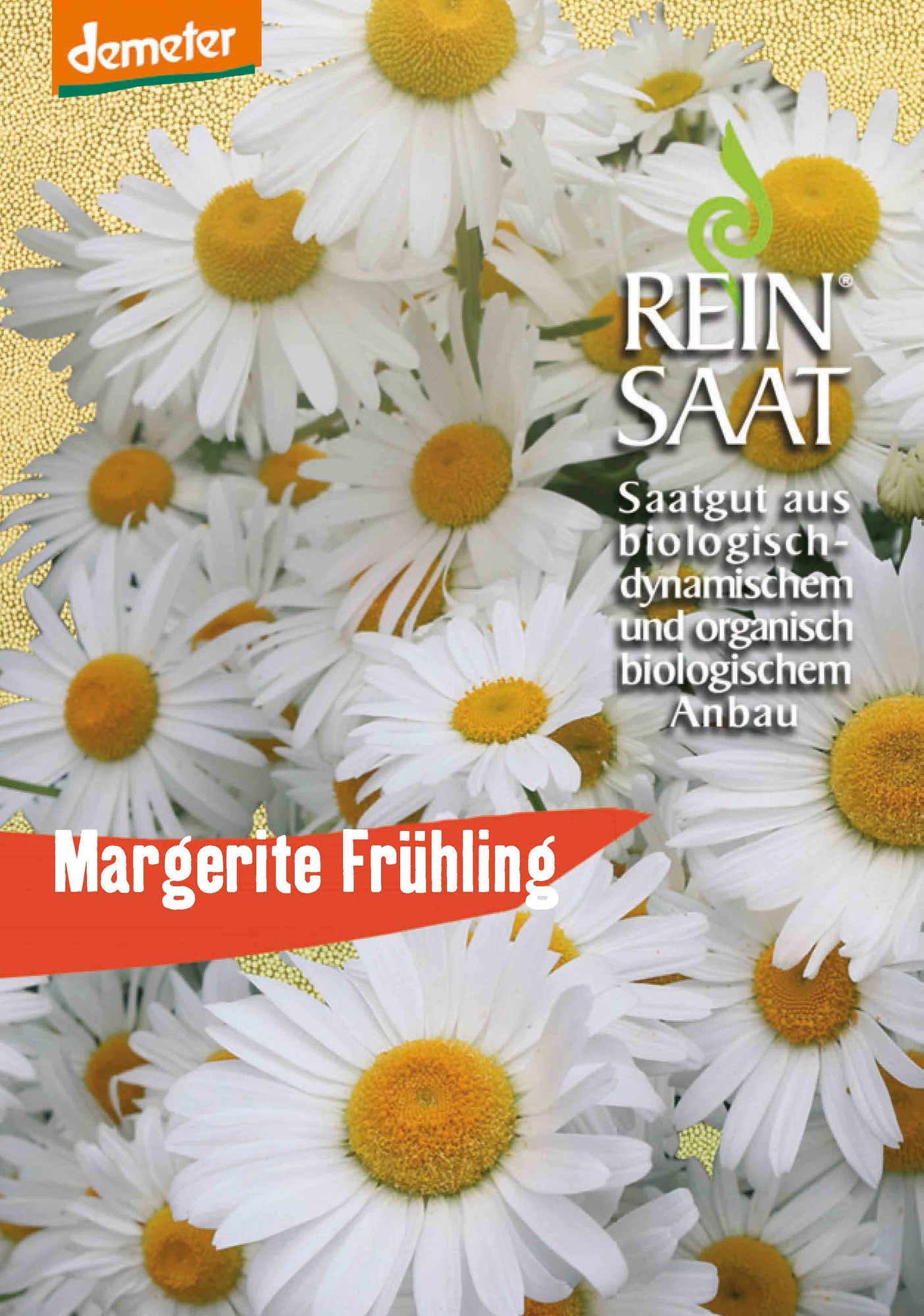 Margerite Frühling | BIO Margeritensamen von Reinsaat