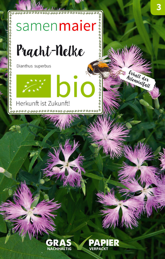 Wildblüte Pracht - Nelke | BIO Nelkensamen von Samen Maier