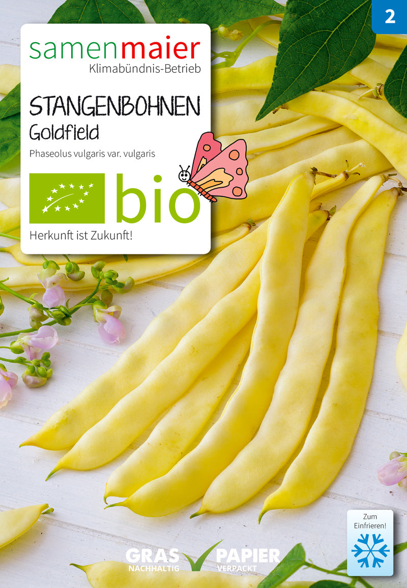 Stangenbohnen Goldfield gelb | BIO Stangenbohnensamen von Samen Maier