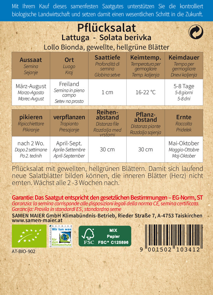 Pflücksalat Lollo Bionda | BIO Pflücksalatsamen von Samen Maier
