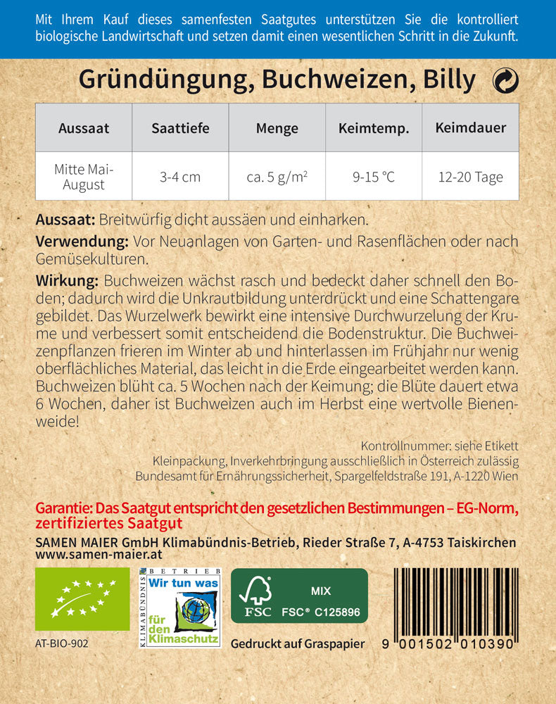 Buchweizen Billy | BIO Gründünger von Samen Maier