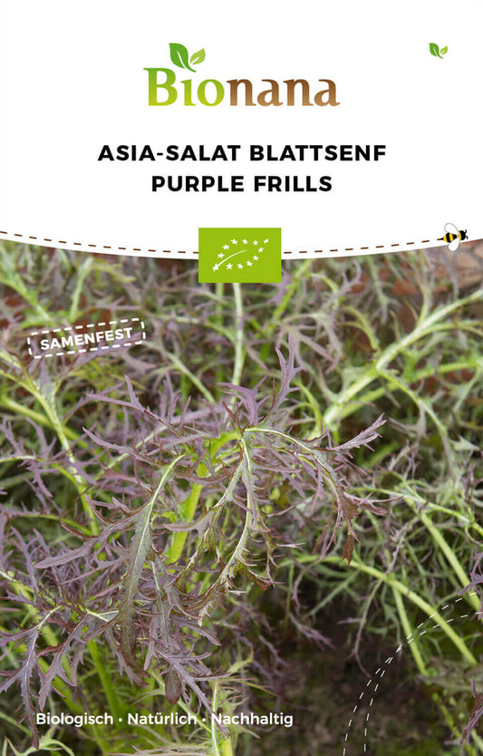 Asiasalat Purple Frills | BIO Asiasalatsamen von Bionana