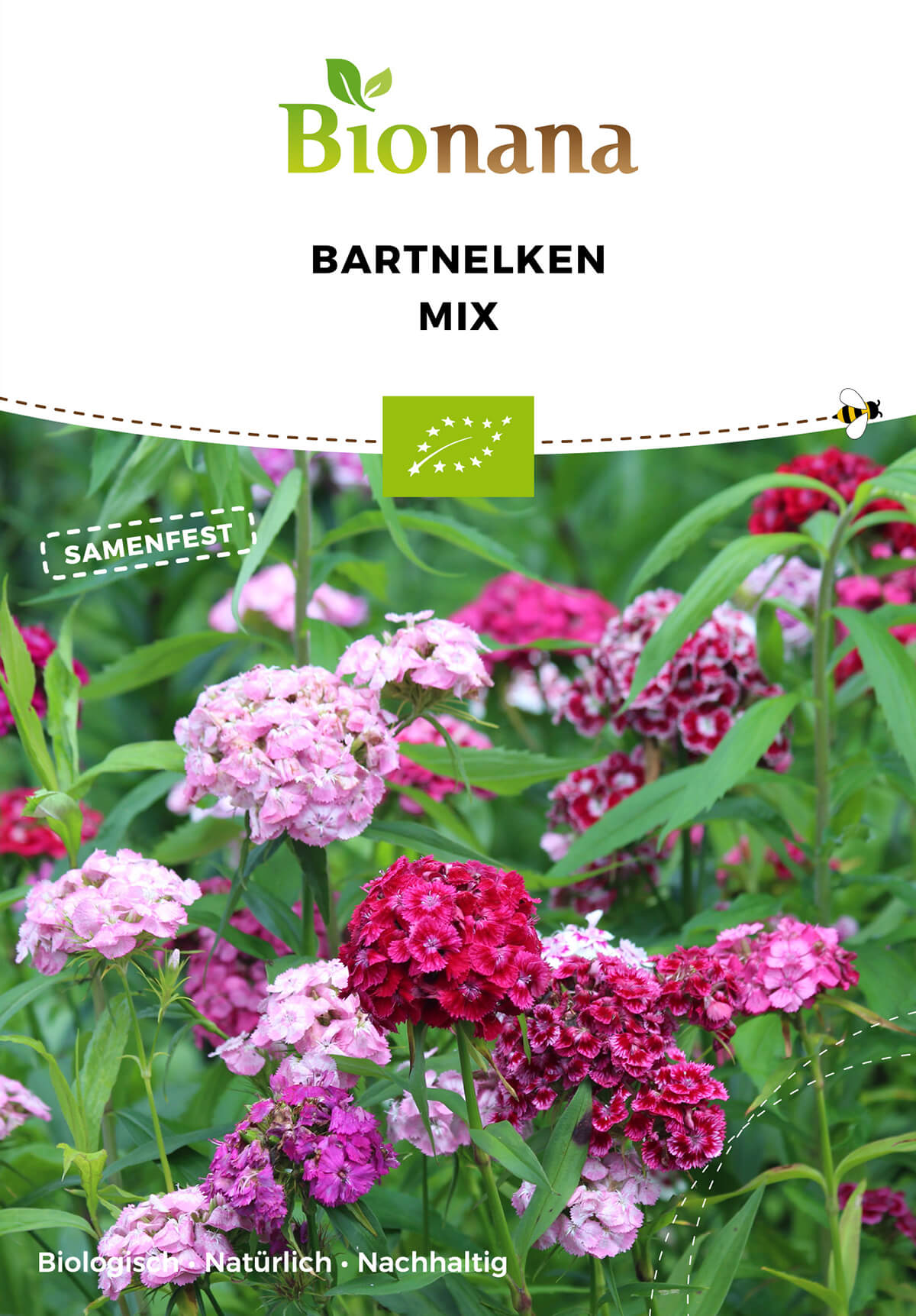 Bartnelken Mix | BIO Nelkensamen von Bionana [MHD 12/2023]