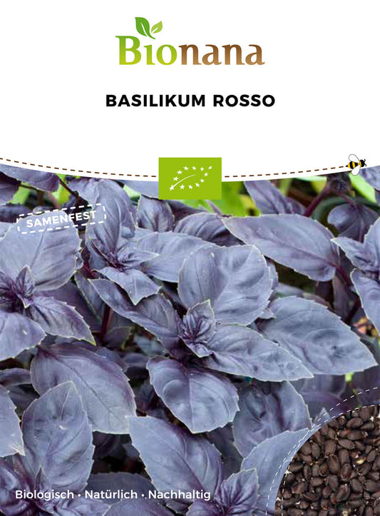 Basilikum Rosso | BIO Basilikumsamen von Bionana