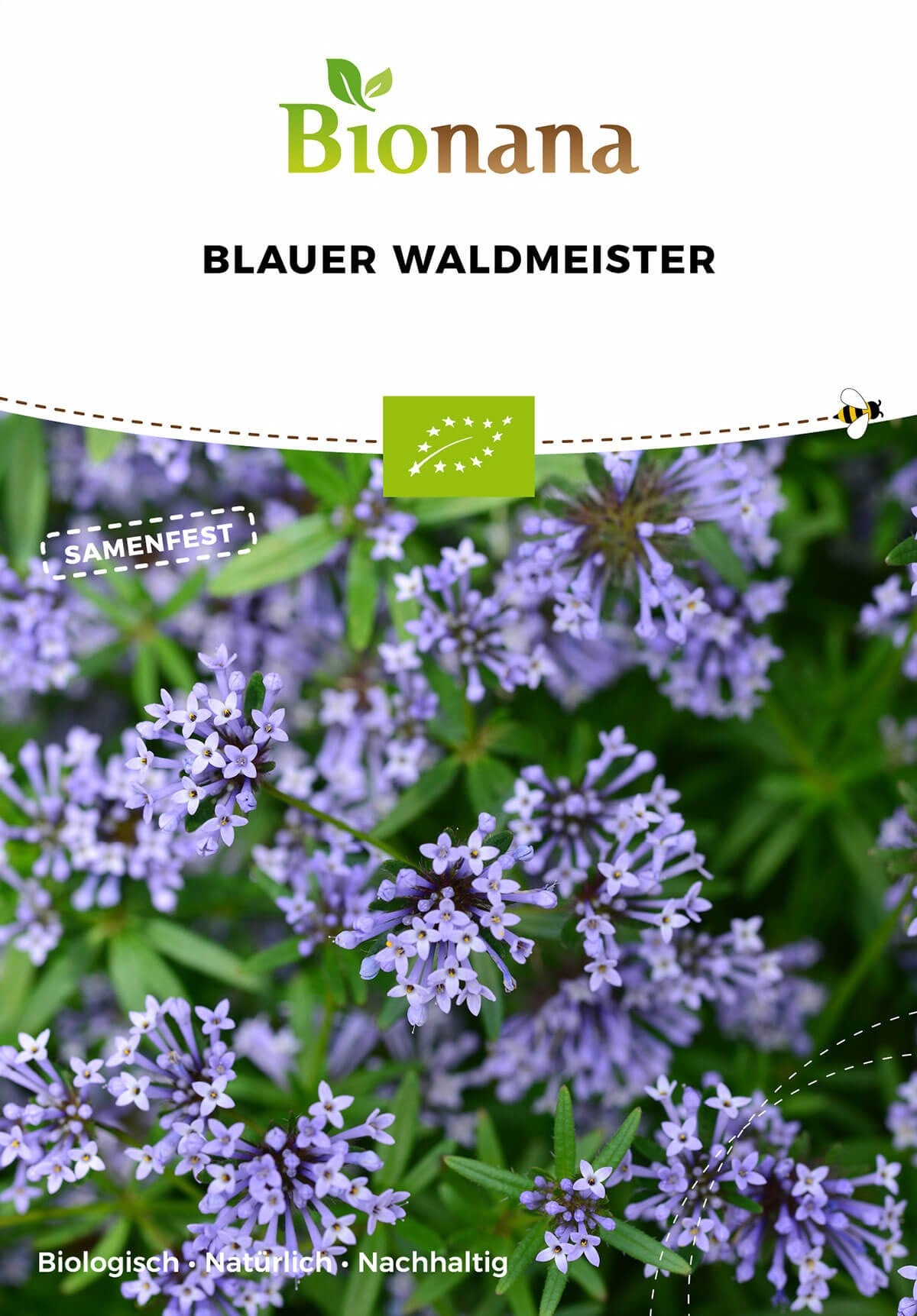 Blauer Waldmeister | BIO Waldmeistersamen von Bionana
