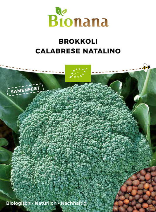 Brokkoli Calabrese Natalino | BIO Brokkolisamen von Bionana