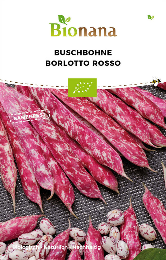 Buschbohne Borlotto Rosso | BIO Buschbohnensamen von Bionana