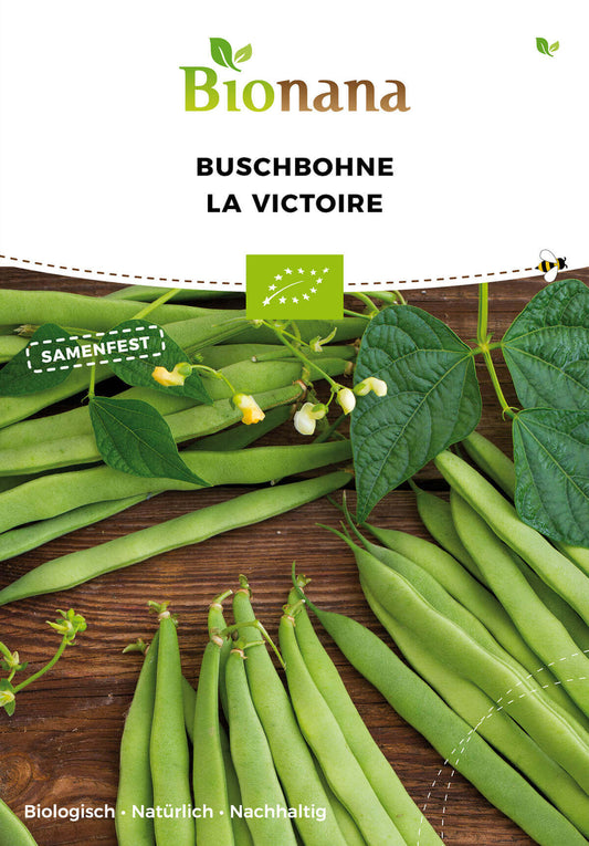 Buschbohne La Victoire | BIO Buschbohnensamen von Bionana