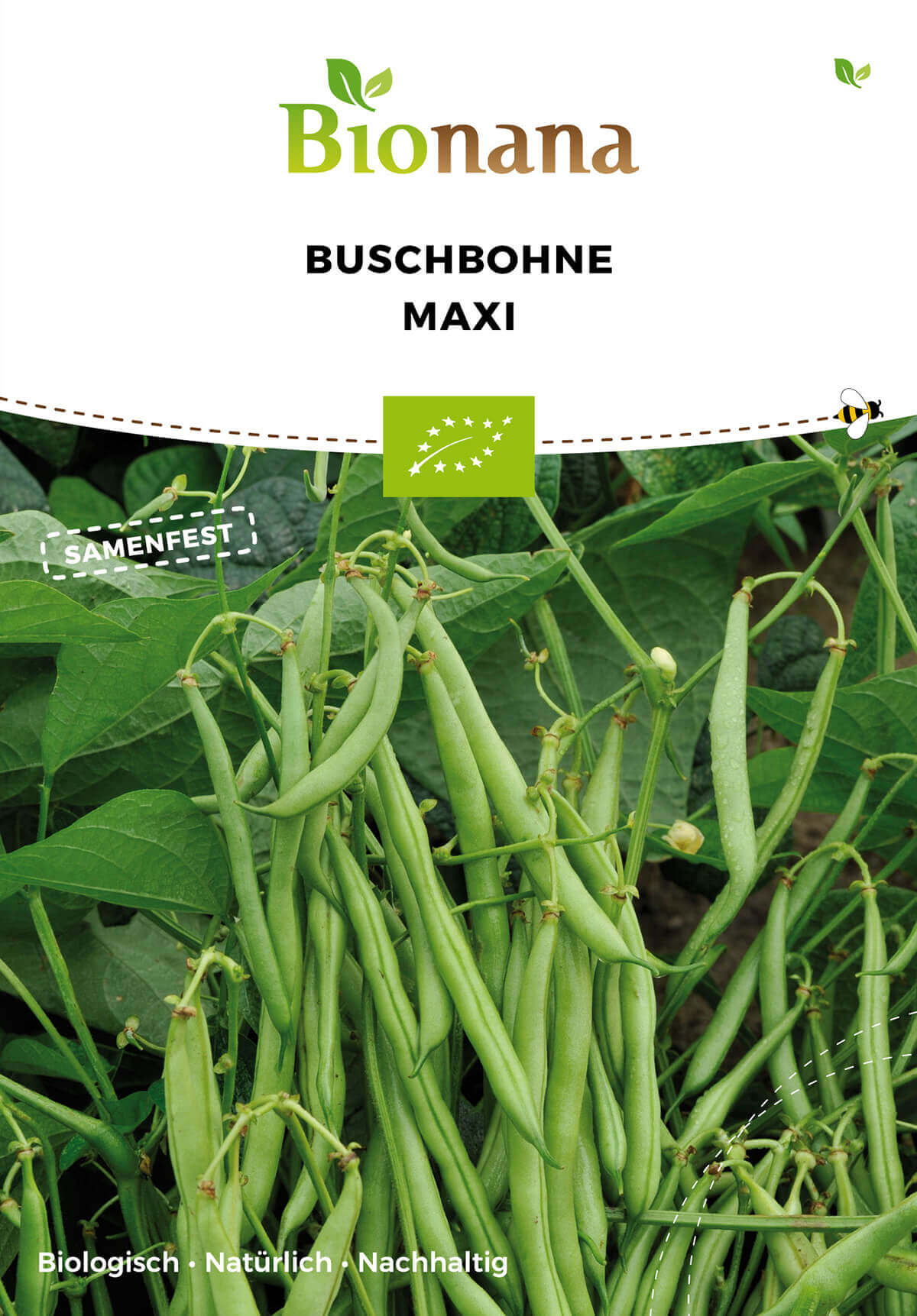 Buschbohne Maxi | BIO Buschbohnensamen von Bionana