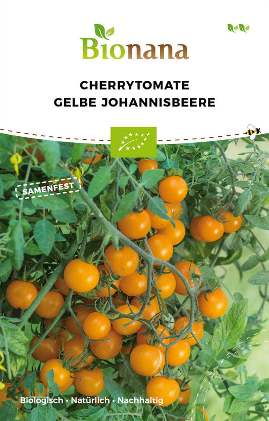 Cherrytomate Gelbe Johannisbeere | BIO Kirschtomatensamen von Bionana