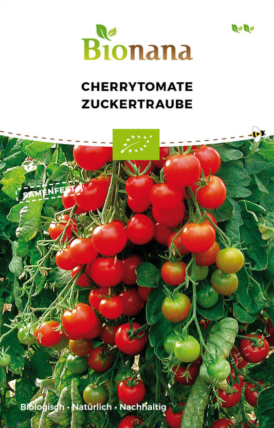Cherrytomate Zuckertraube | BIO Kirschtomatensamen von Bionana