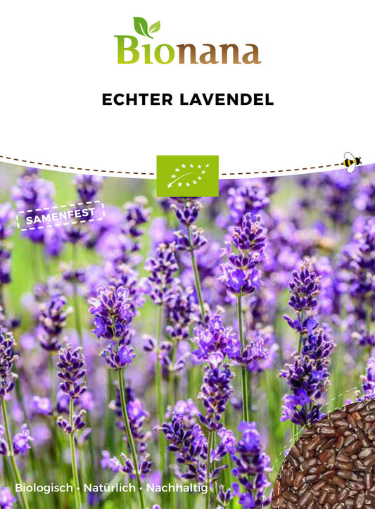 Echter Lavendel | BIO Lavendelsamen von Bionana