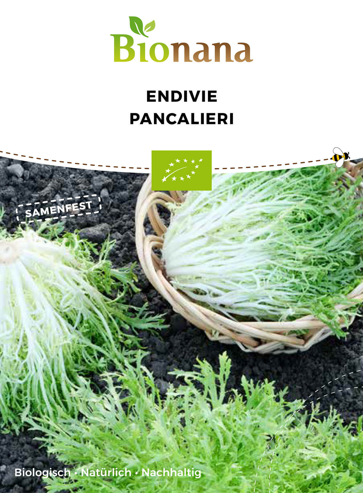 Endivie Pancalieri | BIO Endiviensalatsamen von Bionana