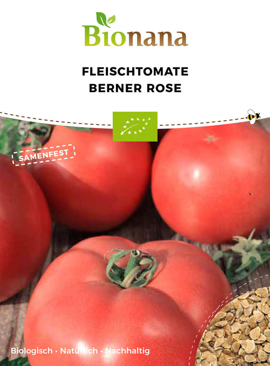Fleischtomate Berner Rose | BIO Fleischtomatensamen von Bionana