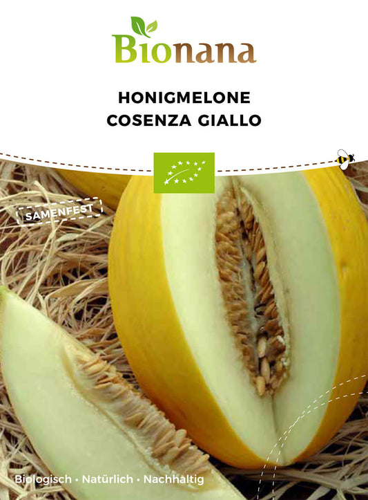 Honigmelone Cosenza Giallo | BIO Honigmelonensamen von Bionana
