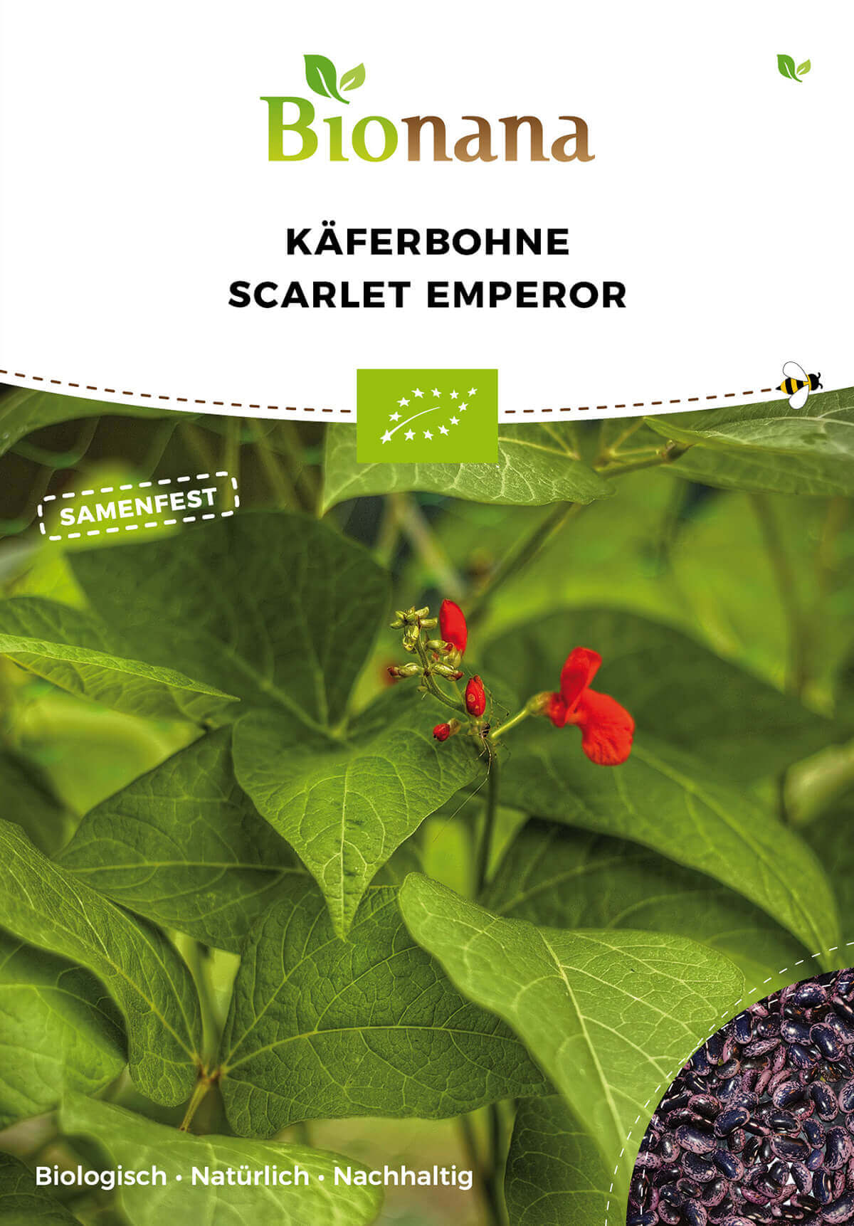 Käferbohne Scarlet Emporer | BIO Bohnensamen von Bionana