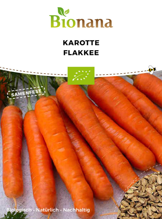 Karotte Flakkee | BIO Möhrensamen von Bionana