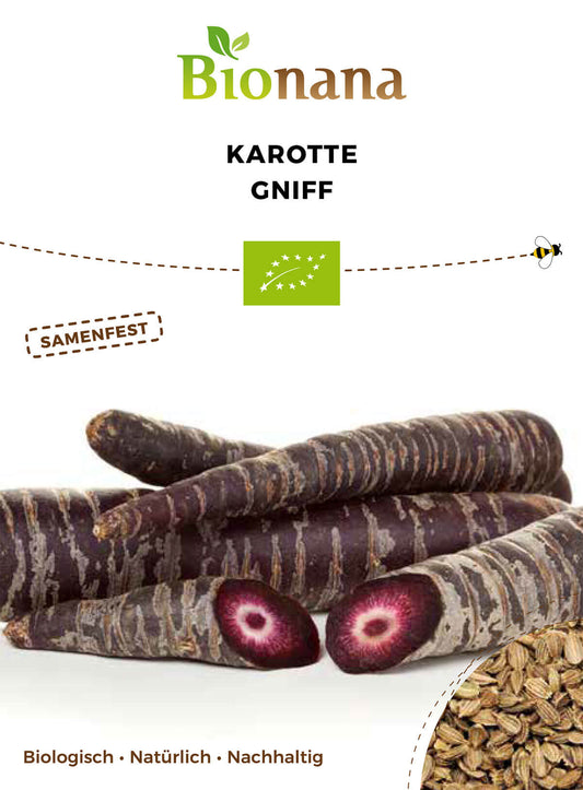 Karotte Gniff | BIO Möhrensamen von Bionana