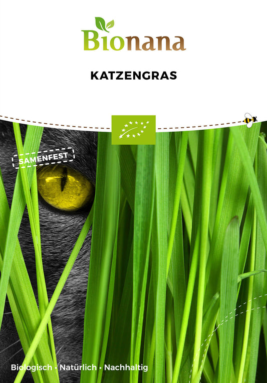 Katzengras | BIO Kleintiersaaten von Bionana