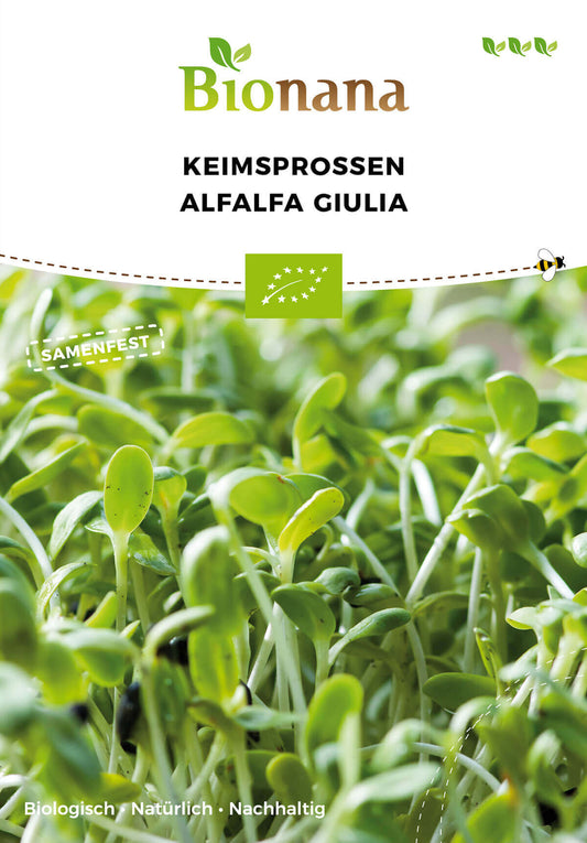 Keimsprossen Alfalfa Giulia | BIO Keimsprossen von Bionana [MHD 12/2023]