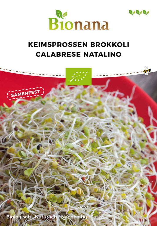 Keimsprossen Brokkoli Calabrese Natalino | BIO Keimsprossen von Bionana