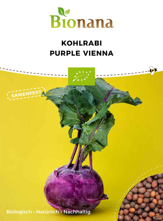 Kohlrabi Purple Vienna | BIO Kohlrabisamen von Bionana