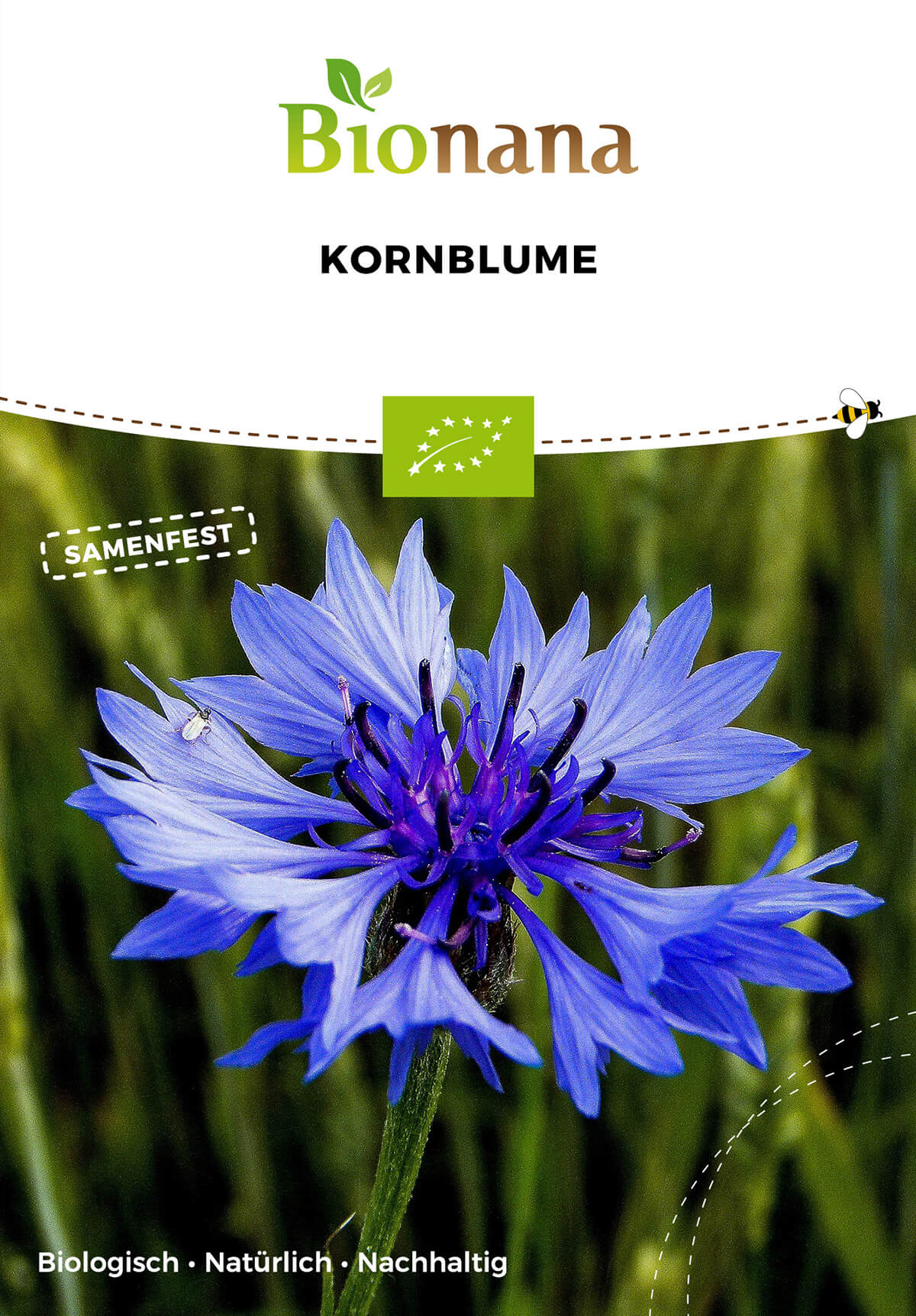 Kornblume | BIO Kornblumensamen von Bionana