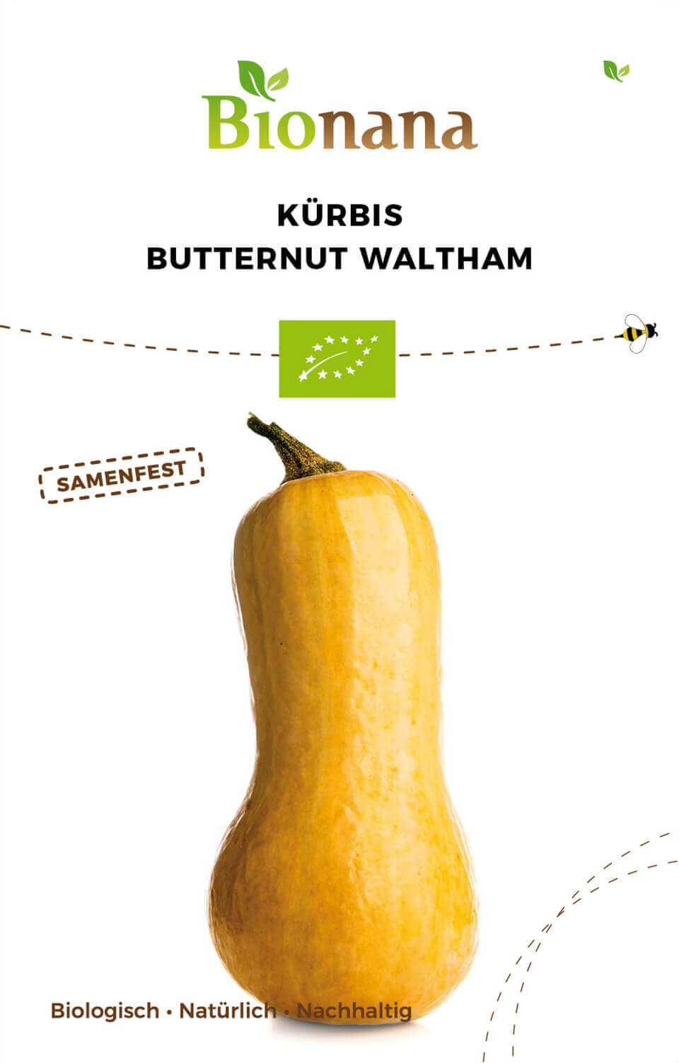 Kürbis Butternut Waltham | BIO Butternutkürbissamen von Bionana