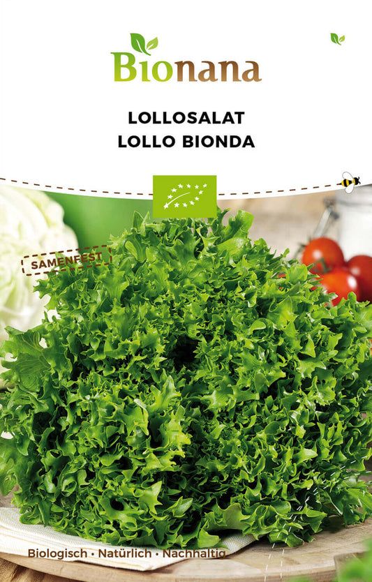 Salat Lollo Bionda | BIO Pflücksalatsamen von Bionana