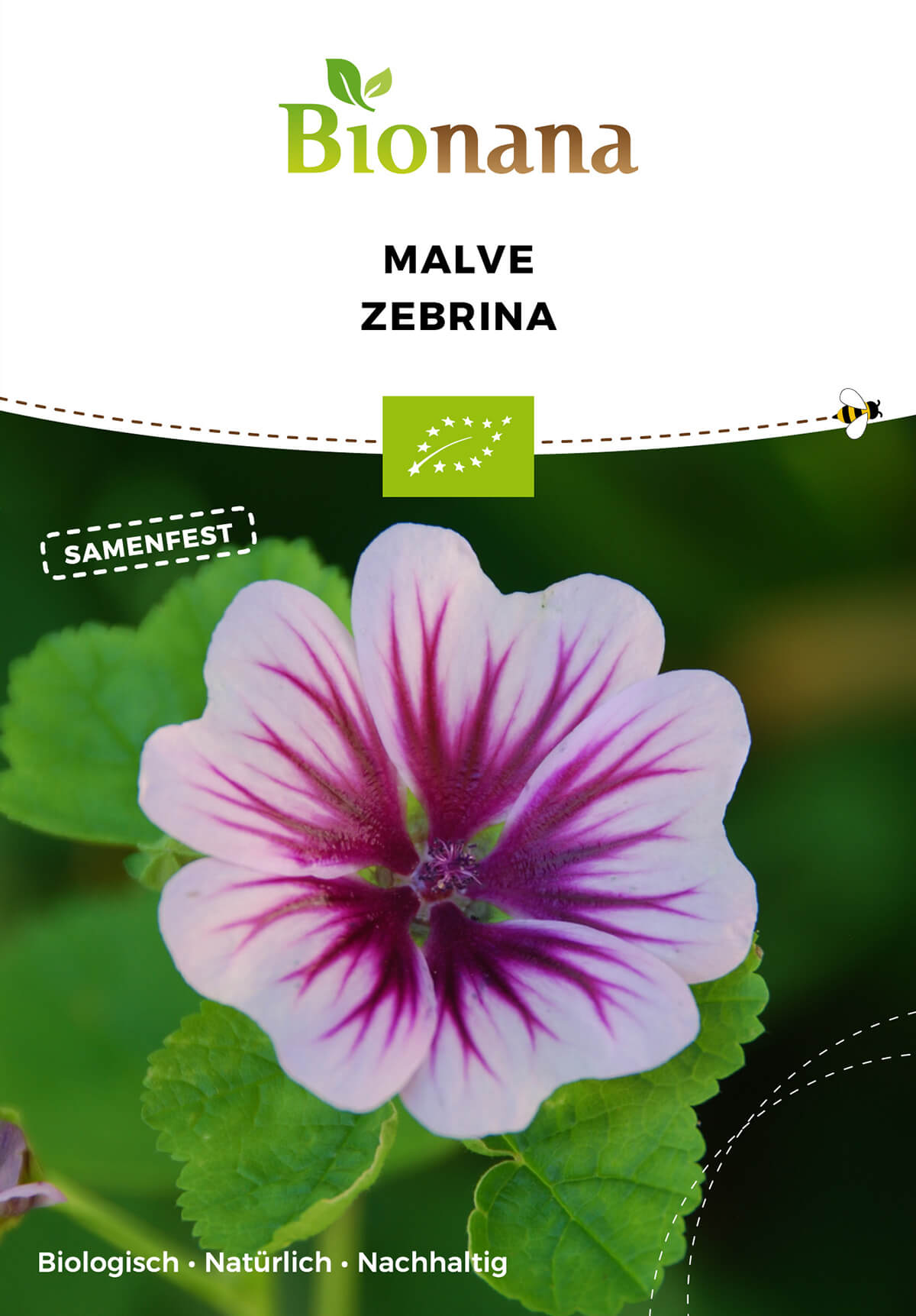 Malve Zebrina | BIO Malvensamen von Bionana [MHD 12/2023]
