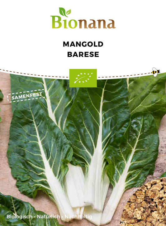 Mangold Barese | BIO Mangoldsamen von Bionana