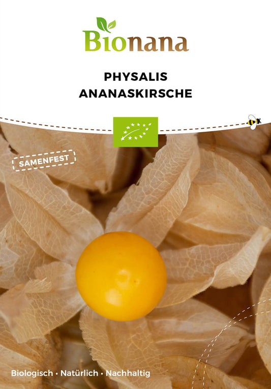 Physalis Ananaskirsche | BIO Andenbeerensamen von Bionana