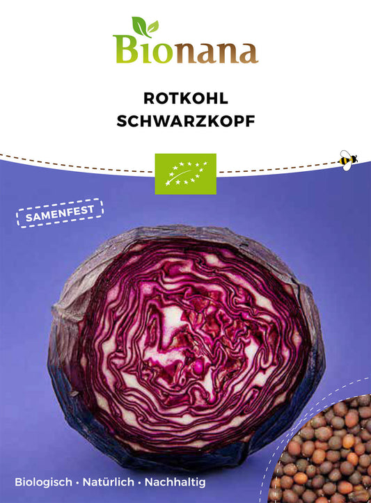 Rotkohl Schwarzkopf | BIO Rotkohlsamen von Bionana