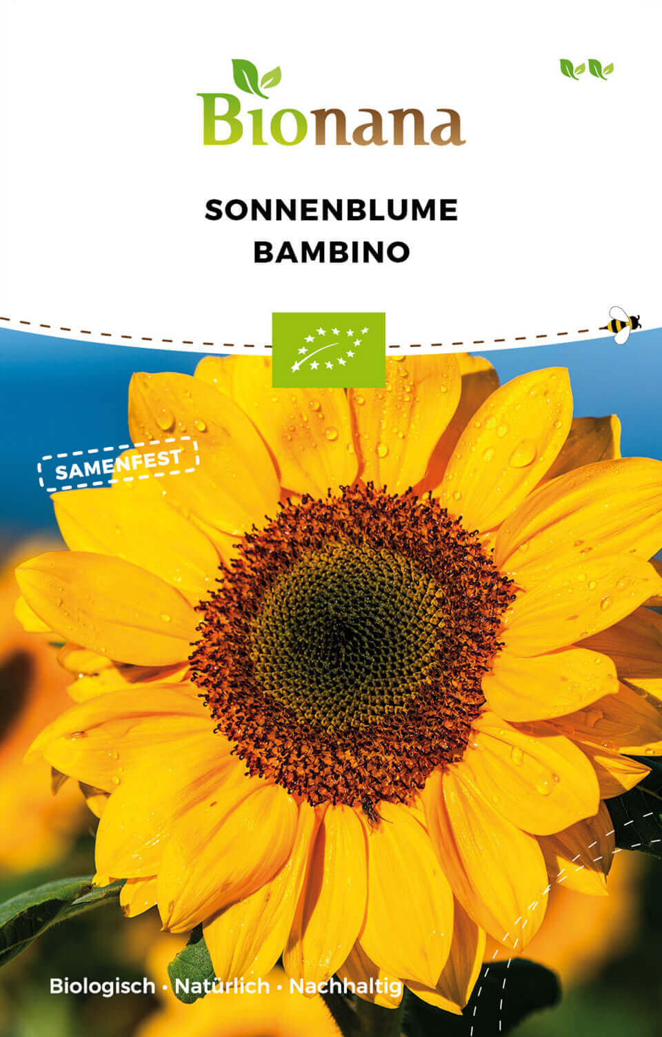 Sonnenblume Bambino | BIO Sonnenblumensamen von Bionana