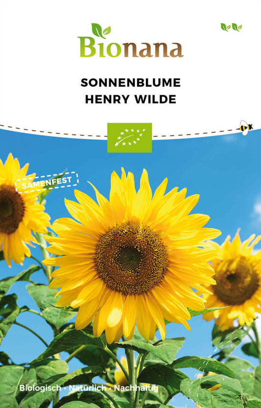 Sonnenblume Henry Wilde | BIO Sonnenblumensamen von Bionana