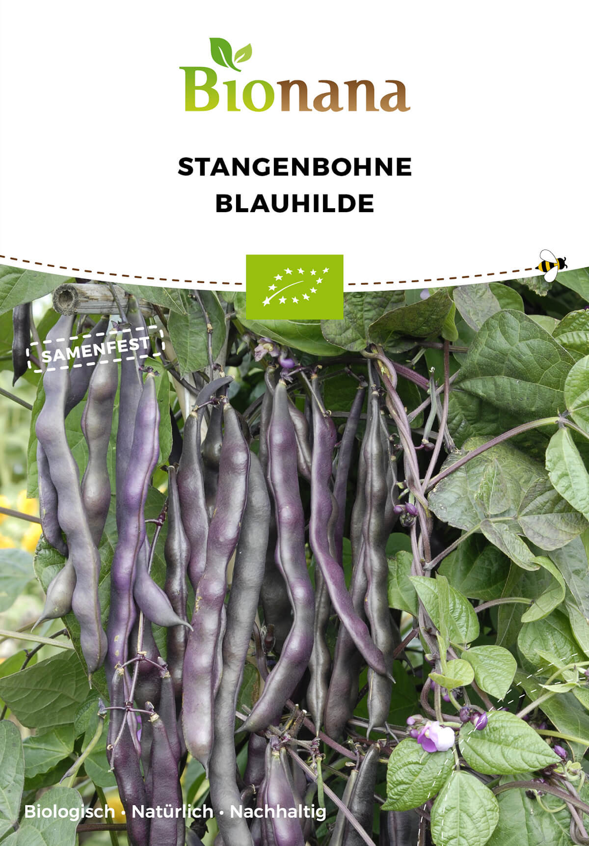 Stangenbohne Blauhilde | BIO Stangenbohnensamen von Bionana