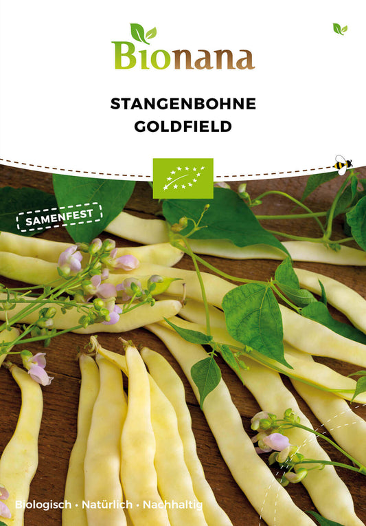 Stangenbohne Goldfield | BIO Stangenbohnensamen von Bionana