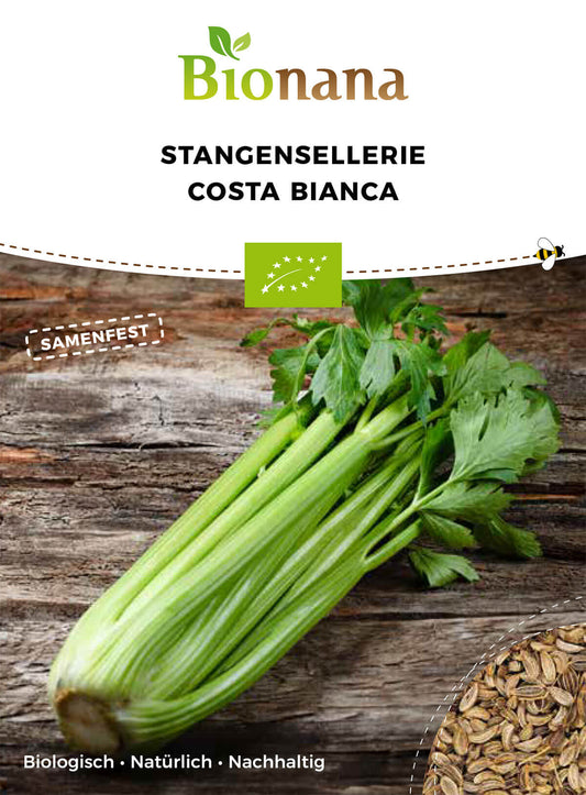 Stangensellerie Costa Bianca | BIO Stangenselleriesamen von Bionana