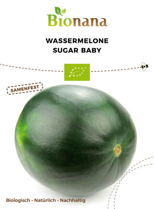 [STREICHUNG 2024] Wassermelone Sugar Baby | BIO Wassermelonensamen von Bionana