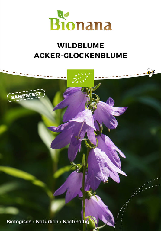 Wildblume Acker-Glockenblume | BIO Wildblumensamen von Bionana