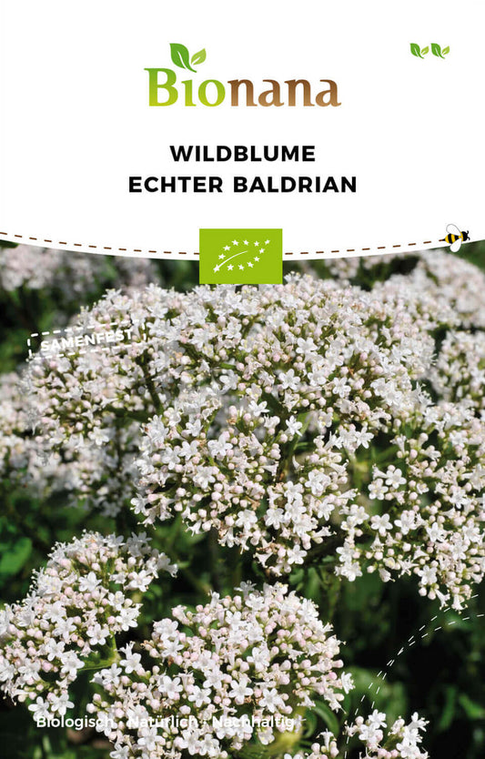 Wildblume Echter Baldrian | BIO Heilpflanzensamen von Bionana