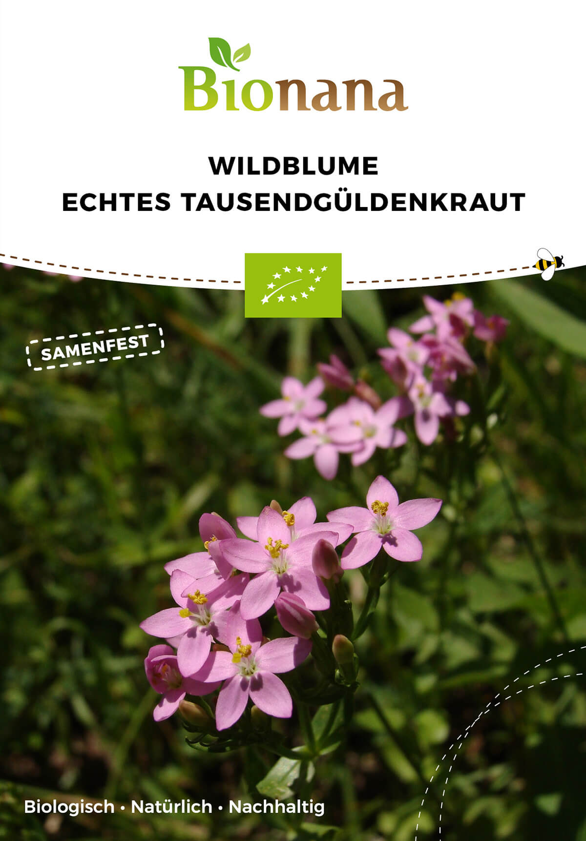 Wildblume Echtes Tausendgüldenkraut | BIO Heilpflanzensamen von Bionana