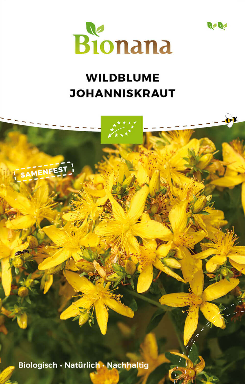 Wildblume Johanniskraut | BIO Wildblumensamen von Bionana