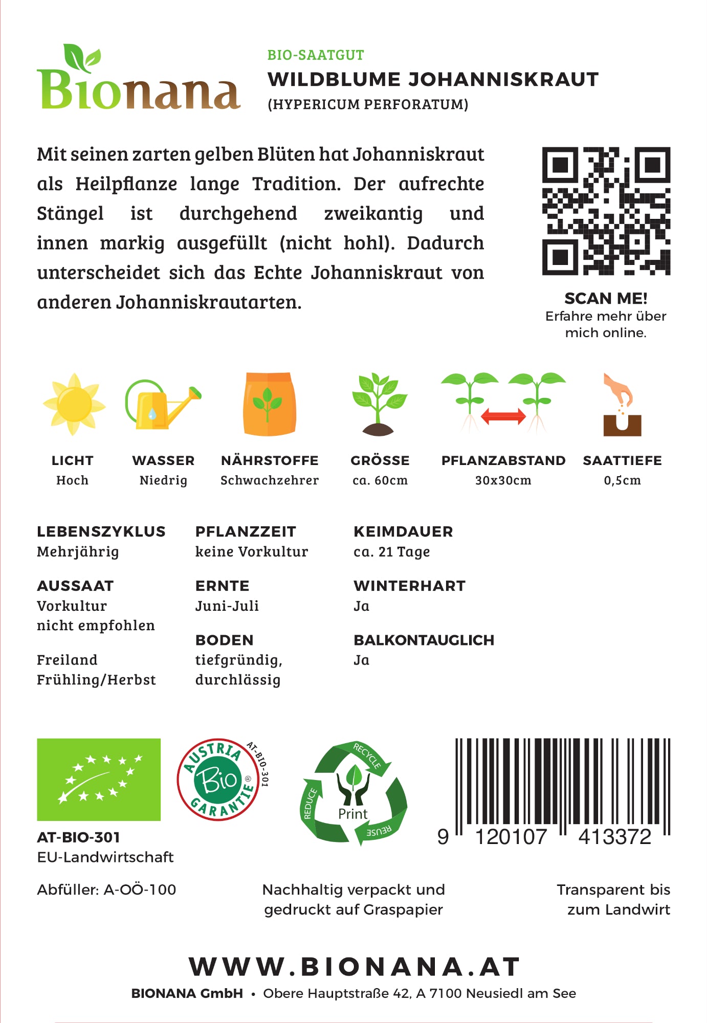 Wildblume Johanniskraut | BIO Wildblumensamen von Bionana