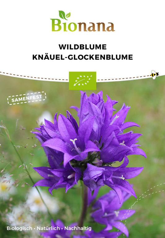 Wildblume Knäuel-Glockenblume | BIO Wildblumensamen von Bionana