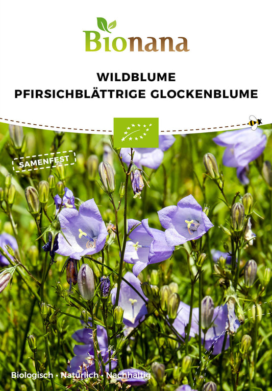 Wildblume Pfirsichblättrige Glockenblume | BIO Wildblumensamen von Bionana
