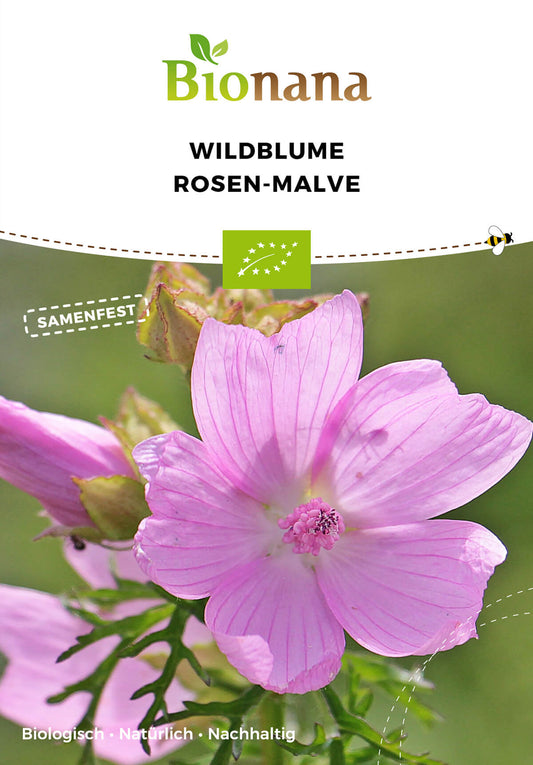 Wildblume Rosen-Malve | BIO Wildblumensamen von Bionana