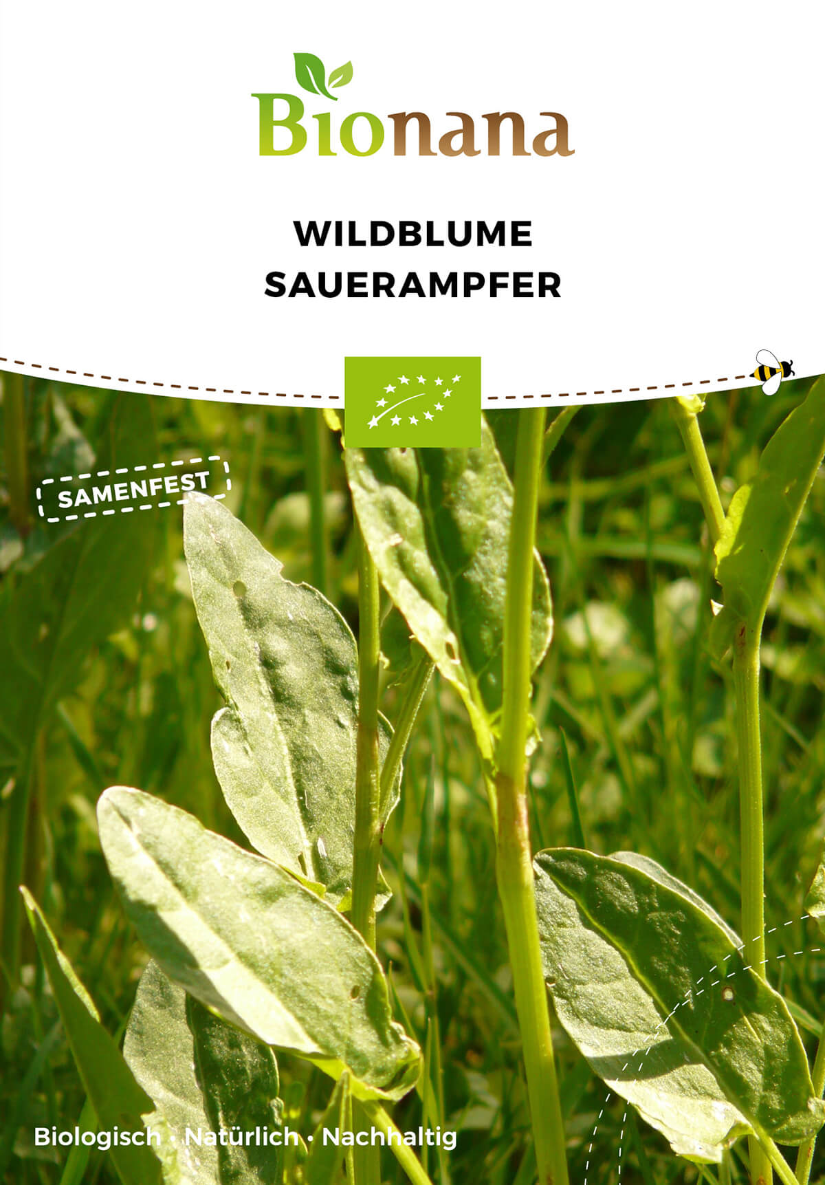 Wildblume Sauerampfer | BIO Wildblumensamen von Bionana [MHD 12/2023]