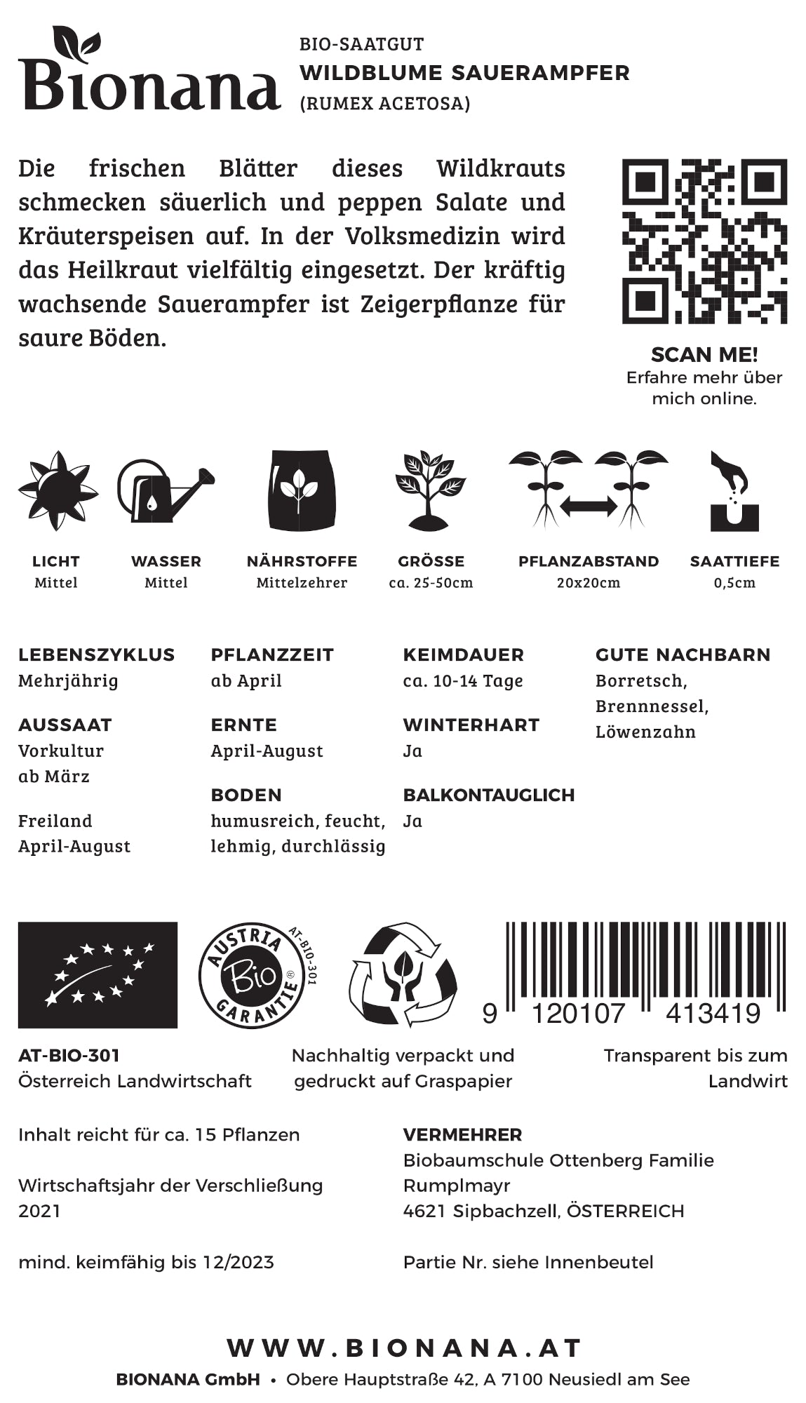 Wildblume Sauerampfer | BIO Wildblumensamen von Bionana [MHD 12/2023]