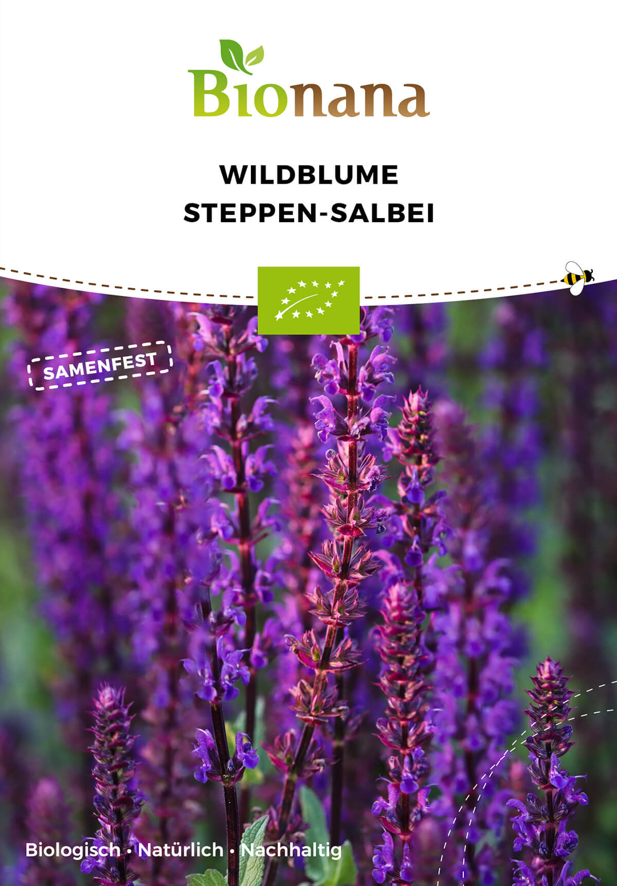 Wildblume Steppen-Salbei | BIO Wildblumensamen von Bionana